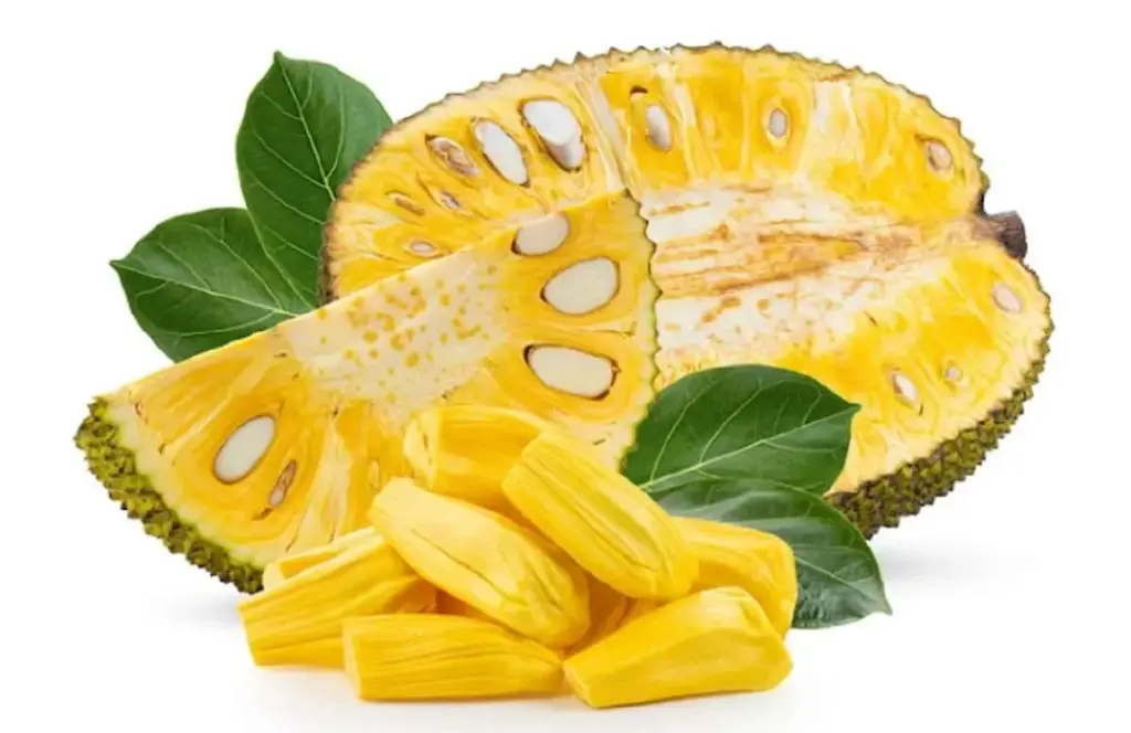 Nangka