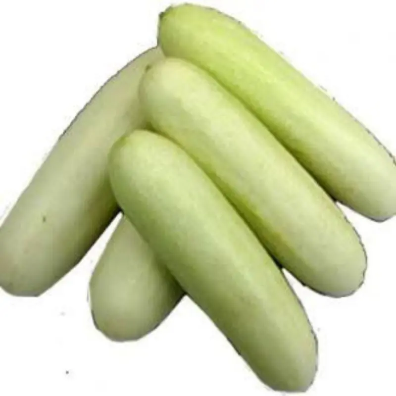 Timun Putih