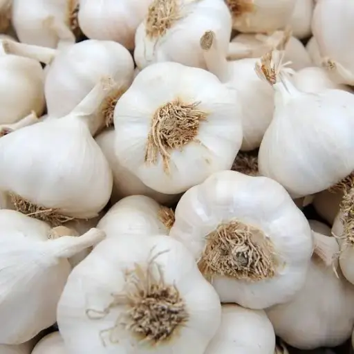 Bawang Putih