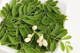 Daun Kelor