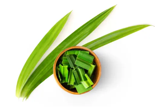 Daun Pandan