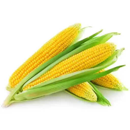 [tersedia yang telah dikupas atau belum kupas] Jagung Manis