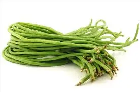 [Di Ikat] Kacang Panjang