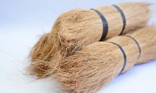 Coco Bristle